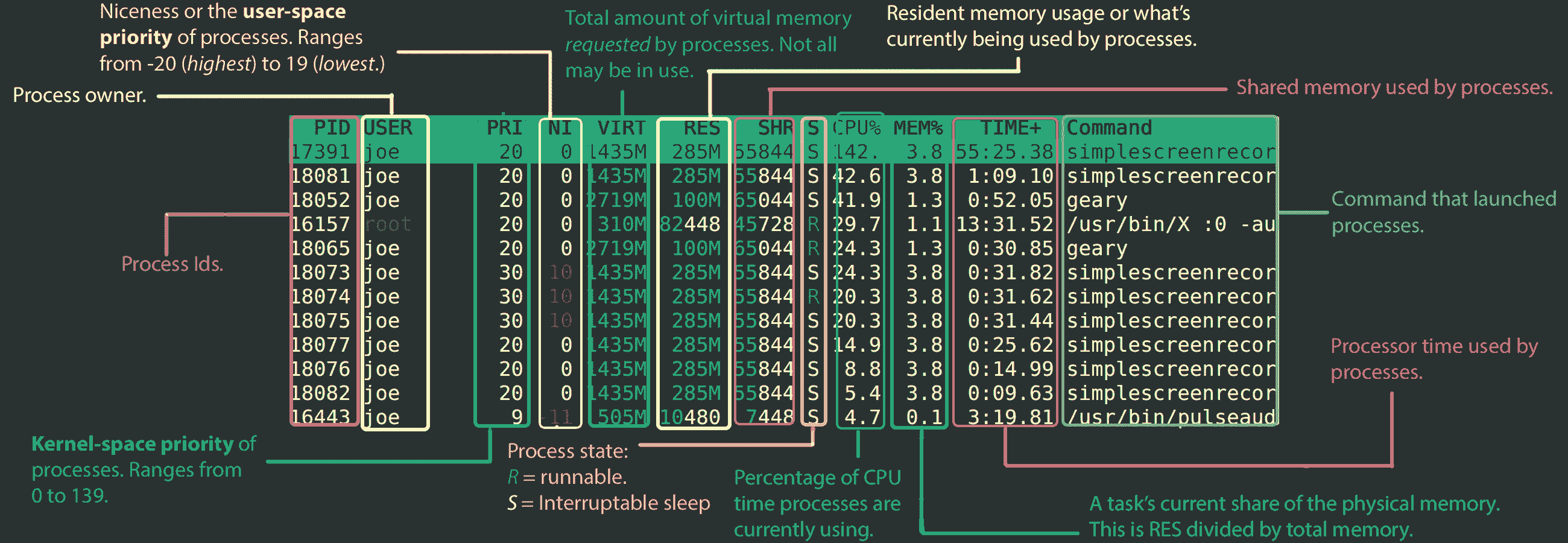 Htop Command Bottom Section | Common Linux Commands