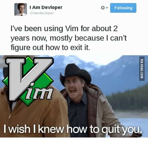 basic linux commands for text manipulation, vim exit meme